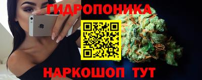 каннабис Сланцы