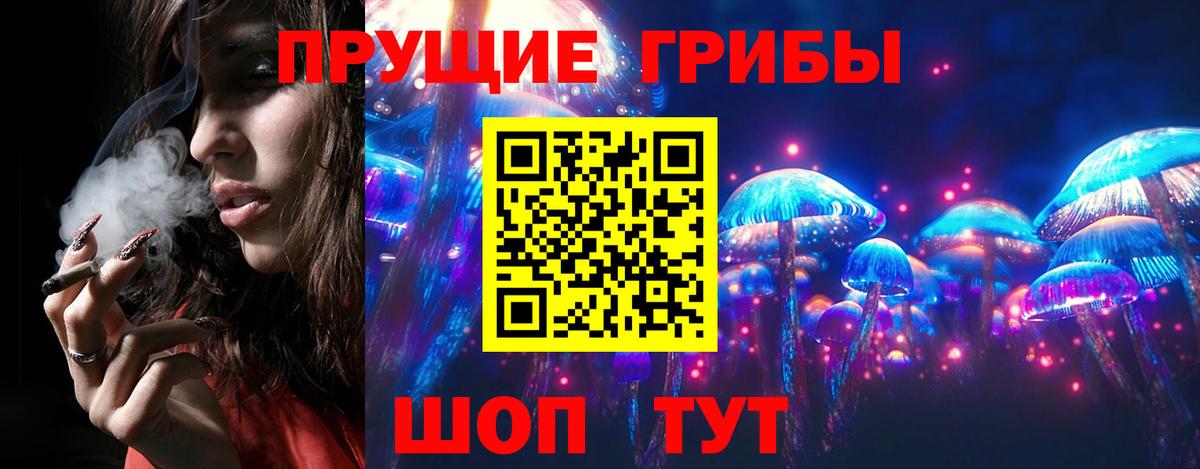 как найти наркотики  Вход с VPN  Приморско-Ахтарск  Псилоцибиновые грибы Psilocybine cubensis 